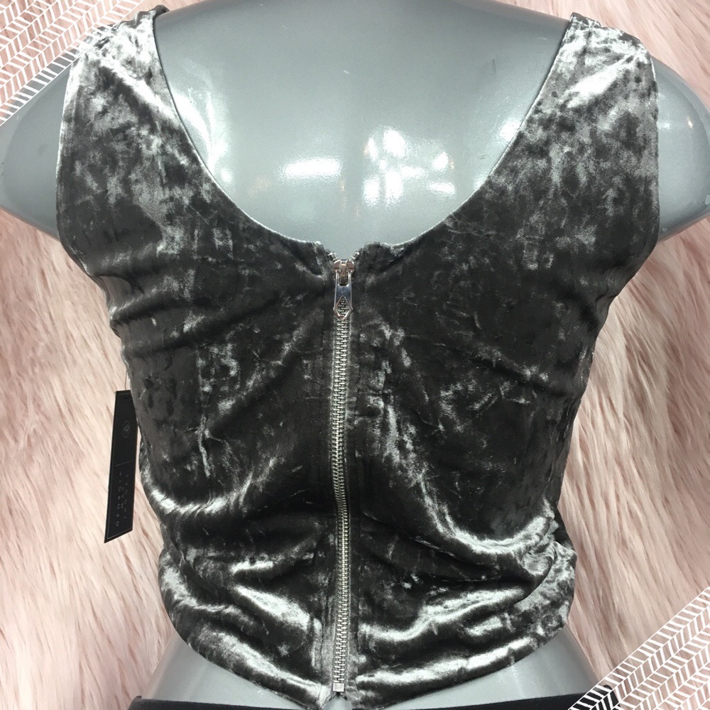 Gray Crushed Velvet Zip Back Crop Top NWT - Picture 5 of 8